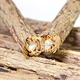 Pet cleaning gnaws on wood